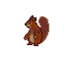 Squirrel