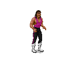 Bret "The Hitman" Hart