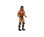 Razor Ramon