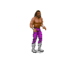 "Macho Man" Randy Savage