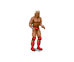 Ric Flair