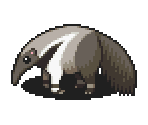 Anteater