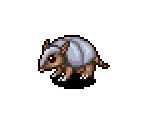 Armadillo