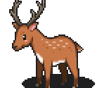 Deer