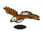 Eagle