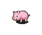 Pig