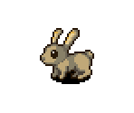 Rabbit (Brown)