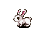 Rabbit (White)