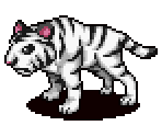 Tiger (White)