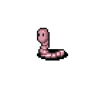 Worm