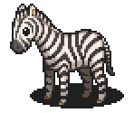 Zebra