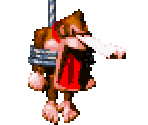 Donkey Kong