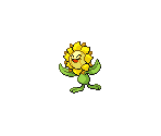 #192 Sunflora