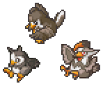 Starly, Staravia & Staraptor