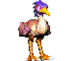 Emu