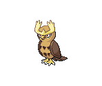 #164 Noctowl