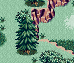 Border Forest 01