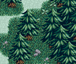 Border Forest 02