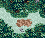 Border Forest 09