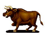 Bull