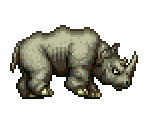 Rhinoceros