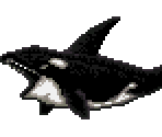 Orca