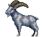 Ibex