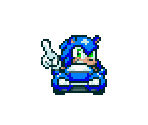 Sonic & Speed Star (Super Mario Kart-Style)