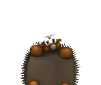 Hedgehog