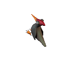 Woodpecker