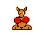 Boxing Kangaroo