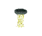 Acid Rain