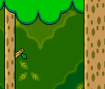 Forest and Athletic Tiles
