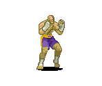 Sagat