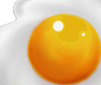 Fried Egg