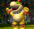 Striker Times Bowser Jr