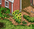 Hayseed Farm (December 2, 2003)