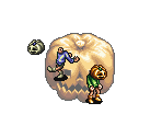 Pumpkin Classes