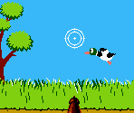 Duck Hunt