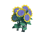 Hypnosunflower