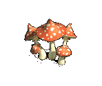 Death Cap