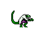 Lizard