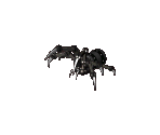 Mechanical Spider