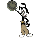 Yakko Warner