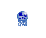 Wild Jellyfish