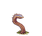 Sand Worm