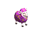 Candy Sheep