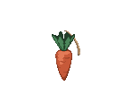 Yummy Carrot