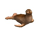 Sea Lion