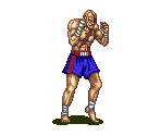 Sagat